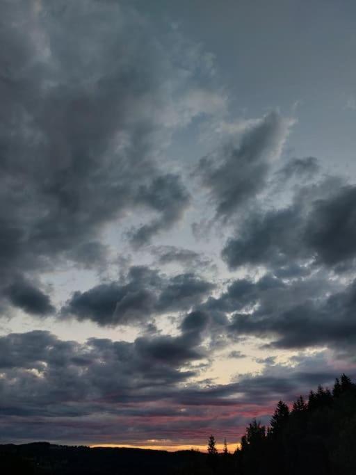 Panorama Sucha Gora ,Lesny Domek Skawica  Экстерьер фото