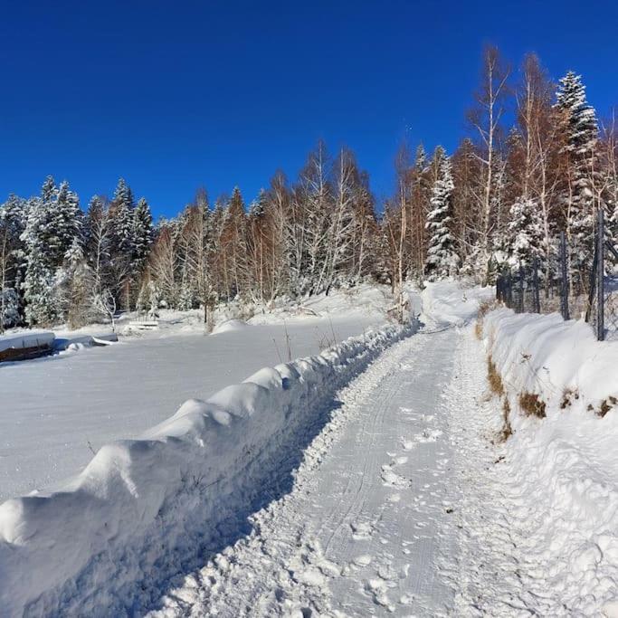 Panorama Sucha Gora ,Lesny Domek Skawica  Экстерьер фото